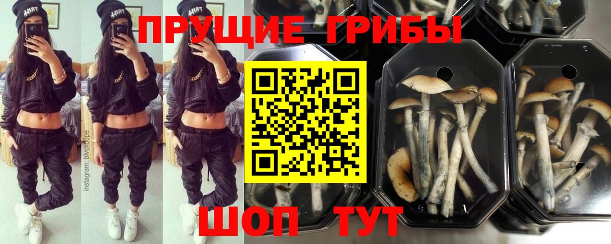 Псилоцибиновые грибы MAGIC MUSHROOMS Воткинск
